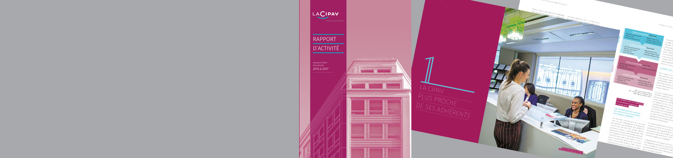 rapport activité Cipav bilan